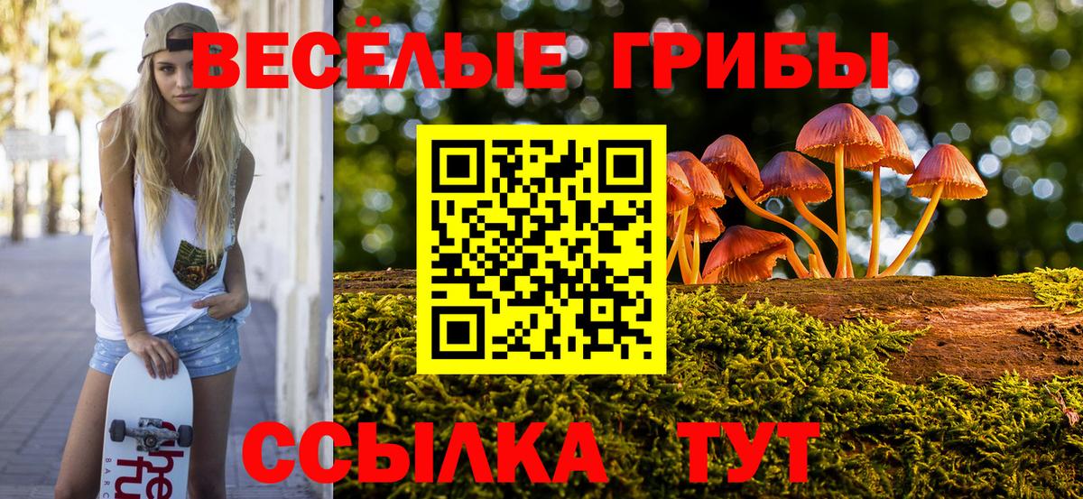 Галлюциногенные грибы Psilocybe Тюмень